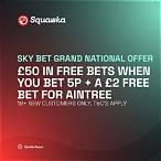 sky bet grand national offer